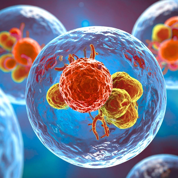 Tout savoir sur les maladies auto-immunes